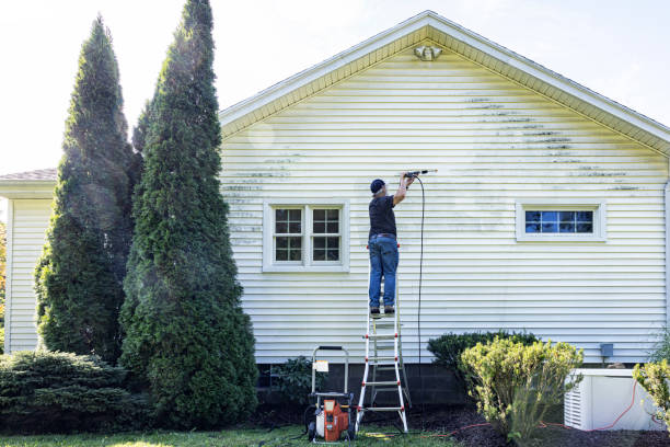 Best Fence Cleaning  in Laguna Vista, TX